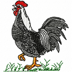 Chickens And Roosters Embroidery Design 4 Chickens And Roosters Embroidery Design 4